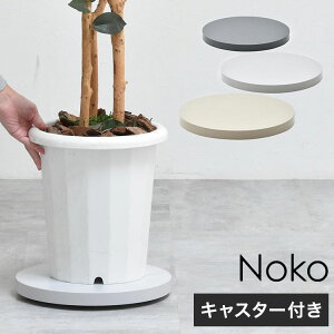 Noko Ehv^[x[X ؖڒ×BLX^[Ŕړł锫Av^[x[X LX^[t Aؔ X^h Aړ ؖڒ O[ CeAG݁y