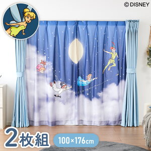 s[^[pGH[XJ[e 2g 100×176cm UVJbg 􂦂  vCoV[ ډB tbNt J[e O  킢 fBYj[ s[^[p eBJ[x EF