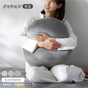 �̂т̂� �g���x���A �������� �N�b�V���� �P�i ��55×40×20cm �`���R�[���O���[ �Ód�C�h�~ �R�ۖh�L �h�_�j �Q�� �N�V���� �C���e���A�G�� �C���e���A�p�i �C���e���A�Ƌ� ���r���O �x�b�h��