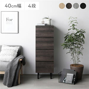 `FXg X 4i 40cm uE e [ X`[r SiXCh[t ّfMIX gi