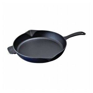 LAVA �t���C�p�� 30cm LV0020(����s��)�y���������z