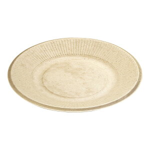 ME^P v[g(50)21cm AGM-09 _C4562404860339(s)