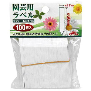 ZteB-3 |px񂴂100 60mm