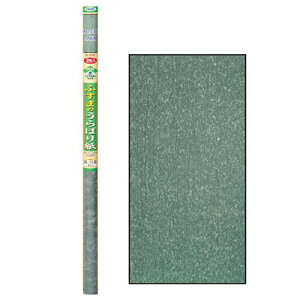 ATqy ӂ܎΂p-2 NO.256-Wyz