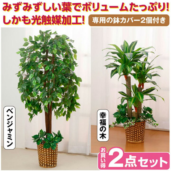 楽天市場 観葉植物 インテリアグリーン 2点セット 人工観葉植物 造花 光触媒 水やり不要 ベンジャミン 幸福の木 代引不可 送料無料 リコメン堂インテリア館
