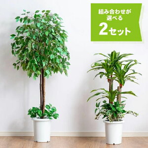 観葉植物 人工観葉植物 幸福の木の人気商品 通販 価格比較 価格 Com