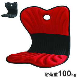 T|[g`FA p X {[e 41 s31 35cm ՃT|[g ɂ ubN bh p\Rp fXNp ItBX fXN`FA Lw(s)yz