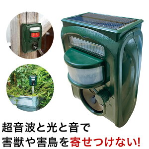 \[[[dQb쏜@ 1 Њd  ZT[ g  \[[pl ؉  Ԓd K[fjO 쏜 ǂ b(s)yz