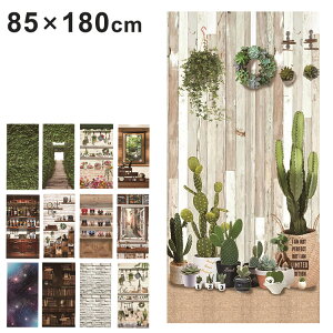マルチスクリーン 85×180cm 手洗い可能 間仕切り 目隠し おしゃれ タペストリー 飾りタープ リビング 脱衣所 キッチン 玄関 壁掛け 天井(代引不可)【送料無料】