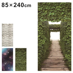 }`XN[ 85×240cm 􂢉\ Ԏd؂ ډB  ^yXg[ ^[v rO Eߏ Lb`  Ǌ| V(s)yz
