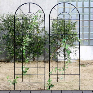 NVbNtFX150 [^Cv 2g tFX Ⴂ AeB[N K[f K[fjO  k 뉀(s)yz