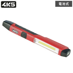 LED yCg PN100 4K5 PEN LIGHT  h ~  ЊQ Lv AEghA Cg d nfBCg ^ y g Nbvt }Olbgt(s)yz