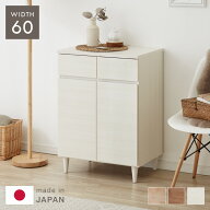 【レビュー報告で5年延長保証】 【日本製 完成品】北欧 木製 キャビネット 幅60 収納棚 扉付き 国産 リビ…