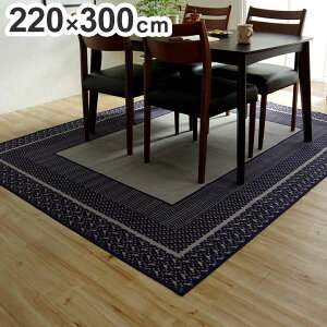 _CjOO Cu 220×300cm  ` O J[ybg Vv LYh~ CeA  킢 k I[V[Y Vv rO(s)yz