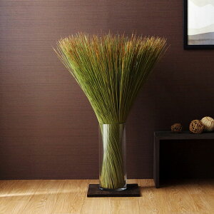 Y {  CeA IuWF L C i` A u 95×10cm   k I[V[Y l炵 V 킢  IV COT(s)y