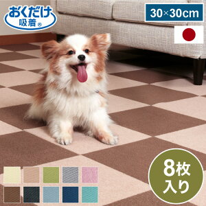 TR[ z { Y ybgp ^C}bg 8 }bg WCg}bg }bg ͂ Ȃ 30×30cm 4mm