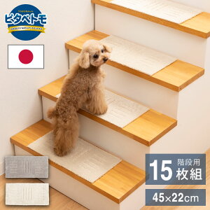 s^yg Ki}bg 15 45×22cm { Y Ki }bg 􂦂 ͂ \蒼 z YȂ WCg}bg ^C}bg tA}bg Kip}bg ybg}bg ybgp