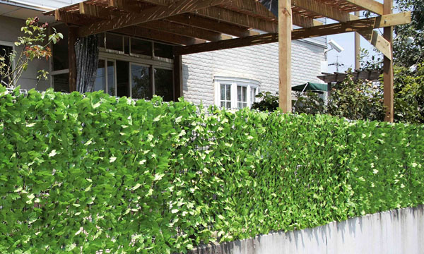楽天市場】グリーンフェンス 1×3m 日よけ 省エネ 壁面緑化 緑の 