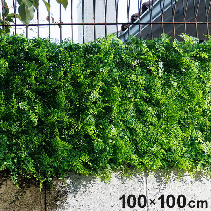 楽天市場】リアルグリーンフェンス 1m×1m 緑のカーテン 目隠し 