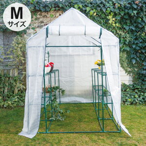 |p؉nEX M rj[nEX | u ƒ؉ J 悯 悯 g Jo[ Hsv(s)yz