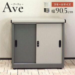 u Ave X[ ݊ 80.5cm RpNgTCY e [ I \ 20iK XCh t h~ t ]|h~݌v Kтɂ KoiCYhH(s