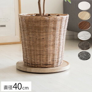 v^[X^h 40cm Treno MST-D400 }`X^h g[m LX^[t }`g[ LX^[tX^h ؖڒ 嗝 rO i`   ϗtA(s
