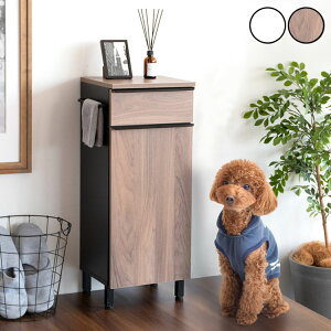 hbObN Paseo XbN ybgp[ 33cm ؐ gi J ot TChtbNt  ybg U pZI DGR-760 WH/BK Lrlbg nK[o[t m[ 