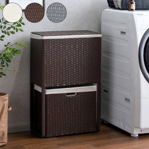 ^ h[{bNX Diario(fBAI) W 2i 50cm t^t h[oXPbg h[[(s)yz