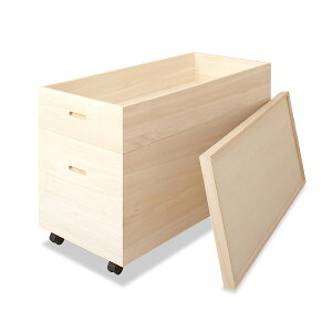 ː[P[X@61iLX^[XmRtj HI-0037 iyzystorage0901z