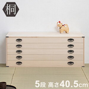 ƂƗ]TŎ[ ˃^X  5i Y u ܒi {  Oi `FXg 99 HI-0065  RpNg [ a yzystorage0901z