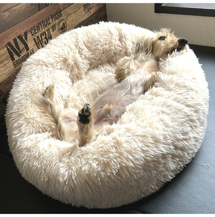 楽天市場 ペットをだめにするクッション グレー ペット ペット用品 クッション ベッド ペットベッド 犬 イヌ 猫 ネコ 小型犬 中型犬 送料無料 リコメン堂インテリア館