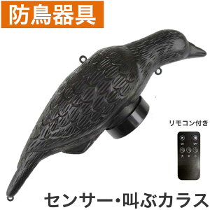 ZT[ hR[ JX dr PO 2{ ZT[ ̓R[~ ΍      c x_(s)yz