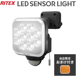 y肨܂tz RITEX CebNXX LEDZT[Cg 12W×1 t[A[ LED LED-AC1012 ZT[Cg hJ h h RZg tȒP(s)yz