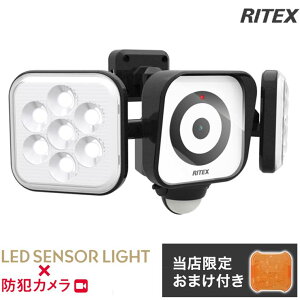 【限定おまけ付き】 RITEX ライテックス C-AC8160 LEDセンサーライト 防犯カメラ 8W×2灯 コンセント式 LED センサースリムライト 防災 防犯 人感センサー フリーアーム式 防雨 防水 (代引不可)【送