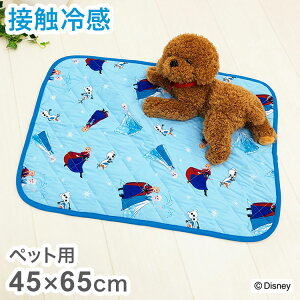 ybg}bg AiƐ̏ ~߉H ybgp ڐG⊴V[Y fBYj[ 킢   v[g Mtg ybg  L }bg Ai GT It(s)y