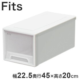 【2025年新作】 天馬 収納ケース Fits フィッツケース 45-22 幅22.5×奥行45.0×高さ20.0cm ホワイトクリア【送料無料】