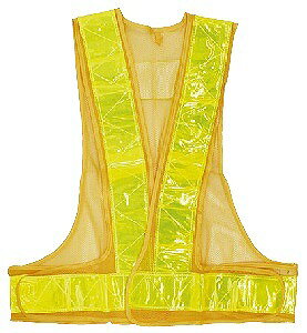 A[NhTJg ˈSxXg CG[×CG[ XLTCY 292501