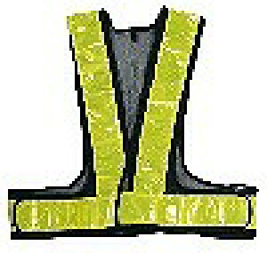 A[NhTJg ˈSxXg V[g lCr[×CG[ t[TCY 292509