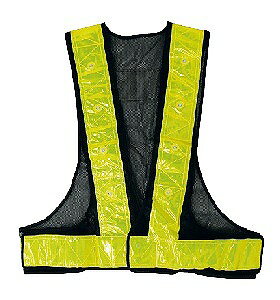 A[NhTJg ˈSxXg LEDCg lCr[×CG[ 292511yz