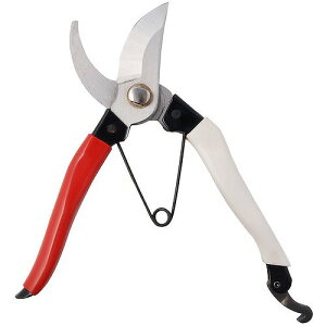 A[NhTJg CLUB.J S|  ~ 200mm p