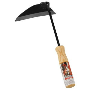 A[NhTJg ᎂq 񒷃lW |t