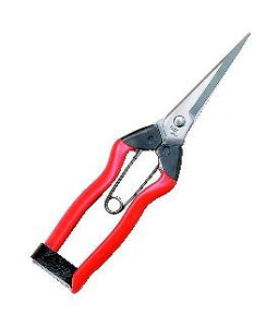 ѐ zH XeX nE 200mm J-2