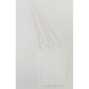 R |݂莮x()  6 727668