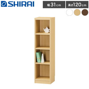 ^iI [Lrlbg 4i 31cm s29cm 120cm X RpNg zCg i` _[NuE Vv  [bN t[bN J[{bNX [ {I I(