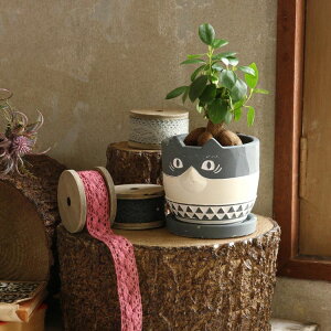 動物 鉢の人気商品 通販 価格比較 価格 Com