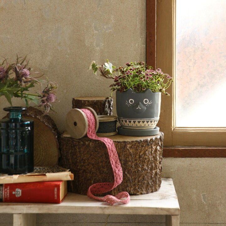 楽天市場 アニマルプランター キャットb Ccgf1070b 北欧 動物 かわいい 鉢 ポット 植木鉢 ガーデニング 園芸 雑貨 観葉植物用 フェイクグリーン用 おしゃれ スパイス Spice 代引不可 リコメン堂インテリア館