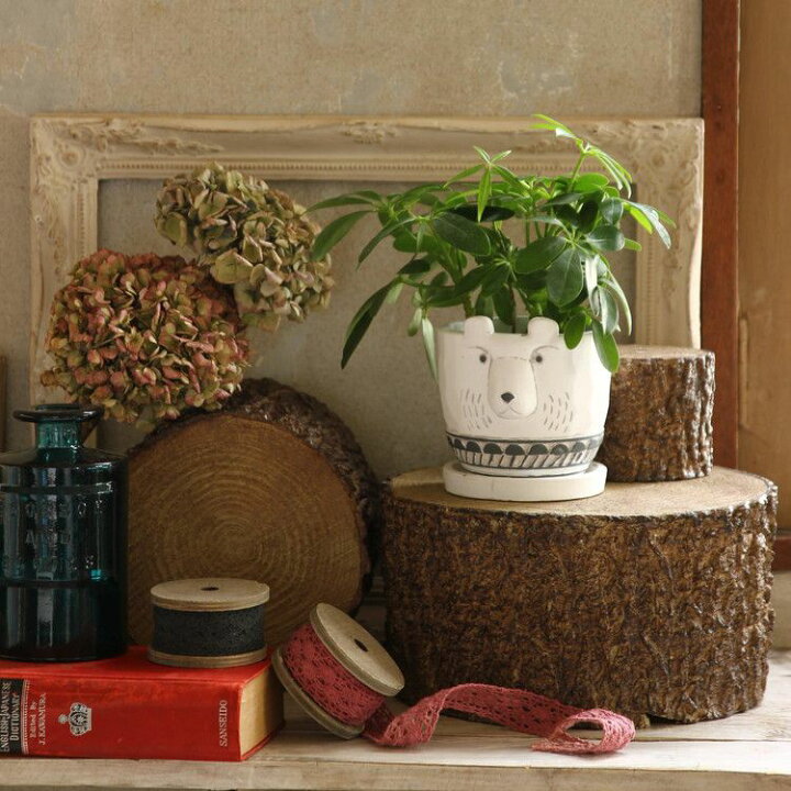 楽天市場 アニマルプランター ホワイトベアー Ccgf1070c 北欧 動物 かわいい 鉢 ポット 植木鉢 ガーデニング 園芸 雑貨 観葉植物用 フェイクグリーン用 おしゃれ スパイス Spice 代引不可 リコメン堂インテリア館