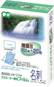 AXJ ~l[^[ptB120 hTCYpyBH-203z(OAEpiE~l[^[)