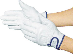 xmO[u F|809Ly5809z(Ǝ܁Ev)