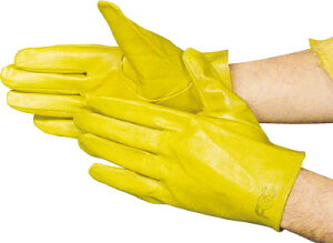 xmO[u F|801Ly5821z(Ǝ܁Ev)